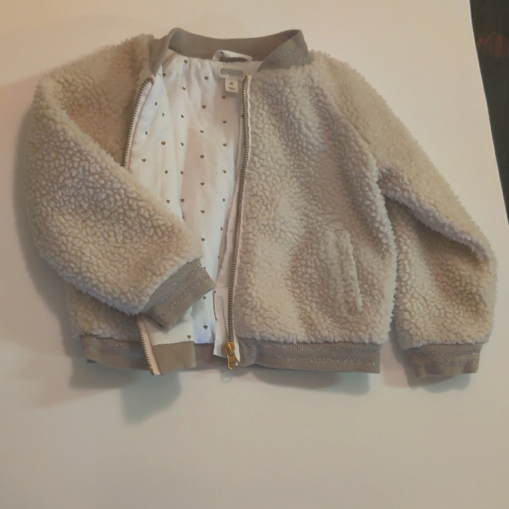 Gymboree toddler jacket